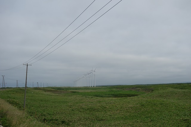 整然と一列に並んだ無数の風力発電。
