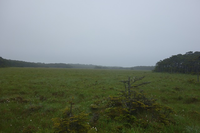 落石岬灯台の前に現れた湿原。