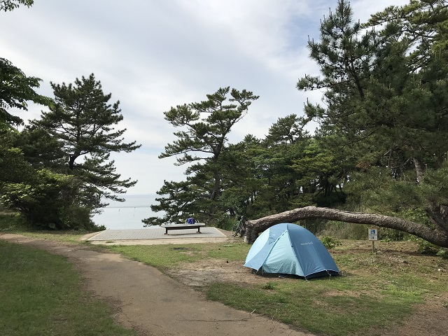 本日のキャンプ場。
