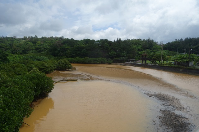 昨日の雨で濁った川。