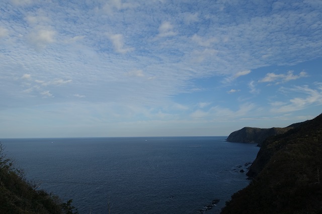 豆酘崎から見た海。