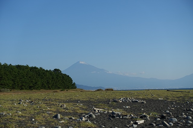 三保松原から見た富士山。