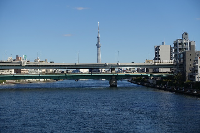 永代橋から見たスカイツリー。