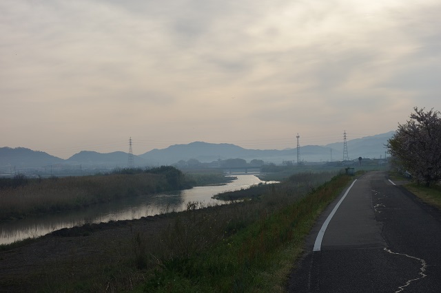 朝の財田川土手