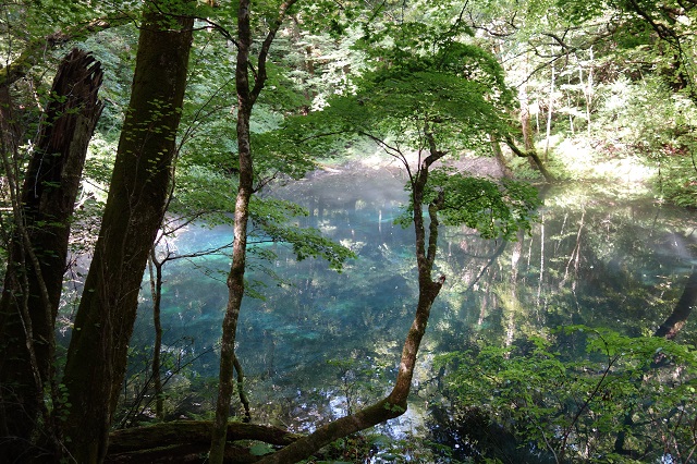 十二湖 沸壺の池