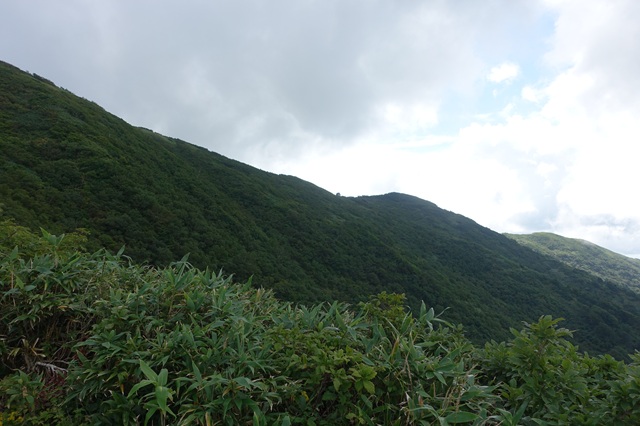 山頂手前20分のところで見えた山頂