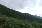 白神山地