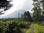 羊蹄山（後方羊蹄山）