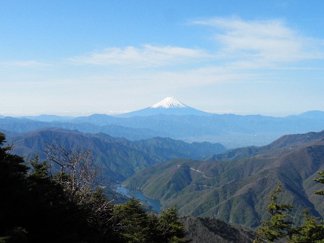 5月13日　雁坂峠から見た富士山