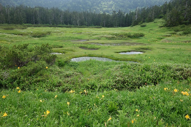 7月30日　高天原の庭園