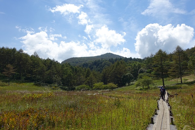 入笠湿原から入笠山を望む。