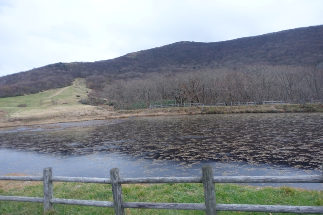 登山口から山頂を望む