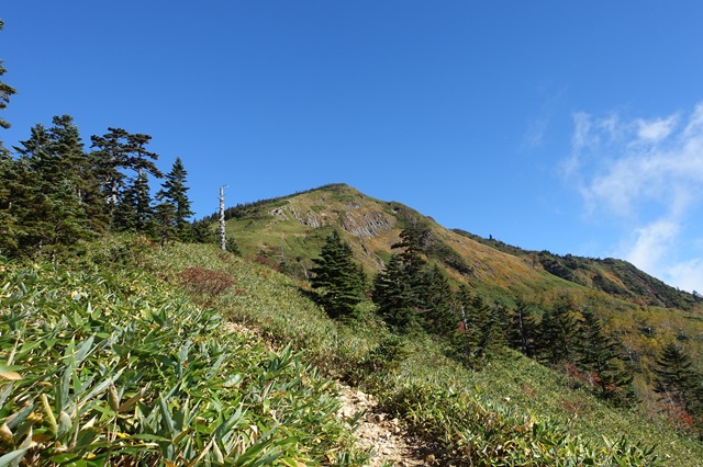登山道から見た岩菅山