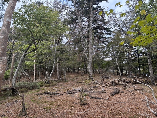 広い林道の尾根道
