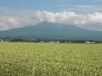 斜里岳｜武徳の百名山ガイド